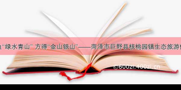 不负“绿水青山” 方得“金山银山”——菏泽市巨野县核桃园镇生态旅游侧记