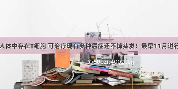 最新发现人体中存在T细胞 可治疗现有多种癌症还不掉头发！最早11月进行人体试验