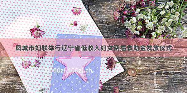 凤城市妇联举行辽宁省低收入妇女两癌救助金发放仪式