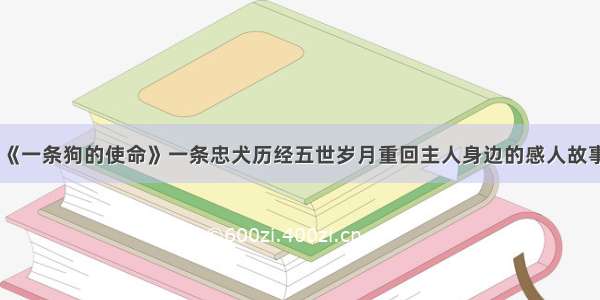 《一条狗的使命》一条忠犬历经五世岁月重回主人身边的感人故事