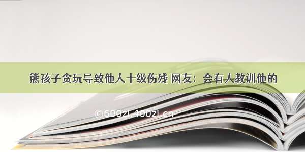 熊孩子贪玩导致他人十级伤残 网友：会有人教训他的