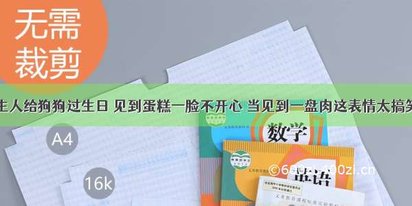 主人给狗狗过生日 见到蛋糕一脸不开心 当见到一盘肉这表情太搞笑