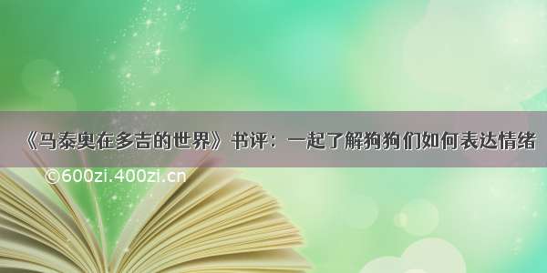 《马泰奥在多吉的世界》书评：一起了解狗狗们如何表达情绪