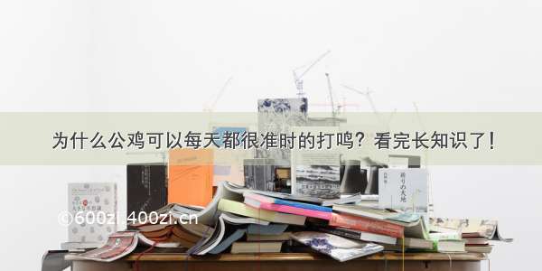 为什么公鸡可以每天都很准时的打鸣？看完长知识了！