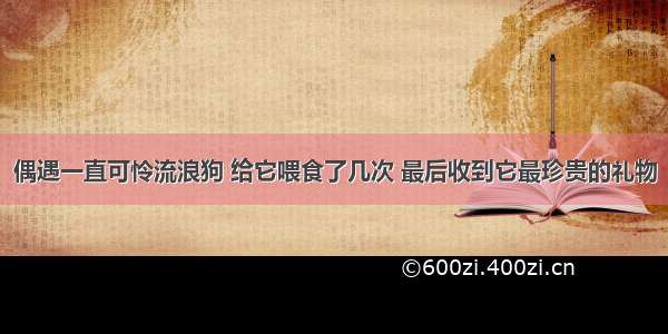 偶遇一直可怜流浪狗 给它喂食了几次 最后收到它最珍贵的礼物