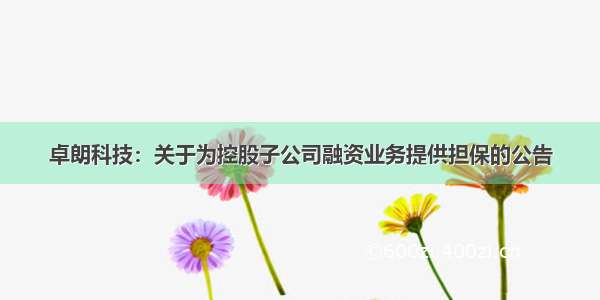 卓朗科技：关于为控股子公司融资业务提供担保的公告