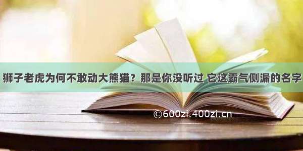 狮子老虎为何不敢动大熊猫？那是你没听过 它这霸气侧漏的名字