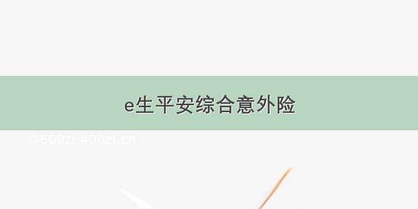 e生平安综合意外险