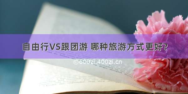 自由行VS跟团游 哪种旅游方式更好？