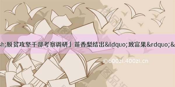 「脱贫攻坚群英谱——脱贫攻坚干部考察调研」苗香梨结出“致富果”——记城步苗族自治