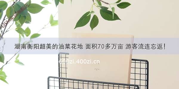 湖南衡阳超美的油菜花地 面积70多万亩 游客流连忘返！