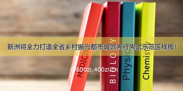 新洲将全力打造全省乡村振兴都市城郊先行先试示范区样板！