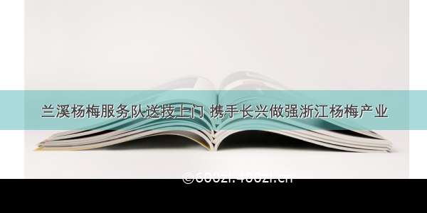 兰溪杨梅服务队送技上门 携手长兴做强浙江杨梅产业