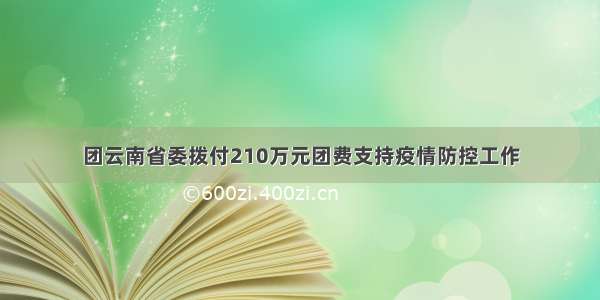 团云南省委拨付210万元团费支持疫情防控工作