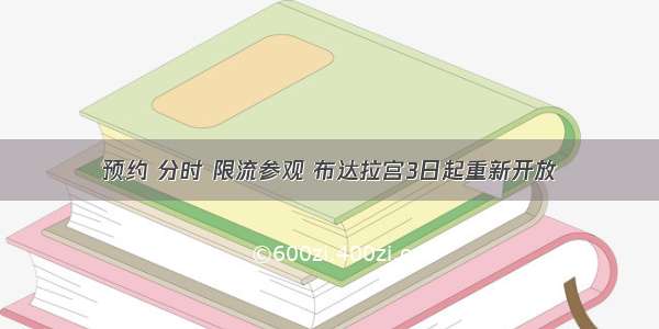 预约 分时 限流参观 布达拉宫3日起重新开放