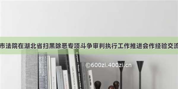 麻城市法院在湖北省扫黑除恶专项斗争审判执行工作推进会作经验交流发言