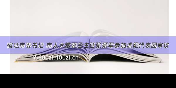 宿迁市委书记 市人大常委会主任张爱军参加沭阳代表团审议