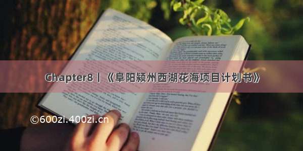 Chapter8丨《阜阳颍州西湖花海项目计划书》