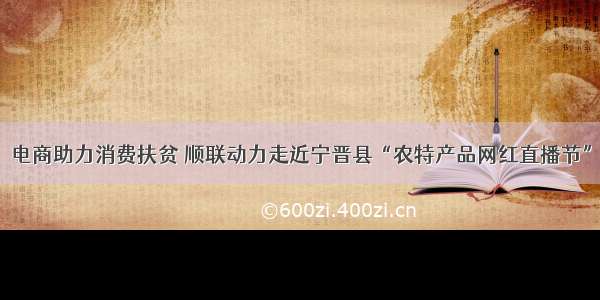 电商助力消费扶贫 顺联动力走近宁晋县“农特产品网红直播节”