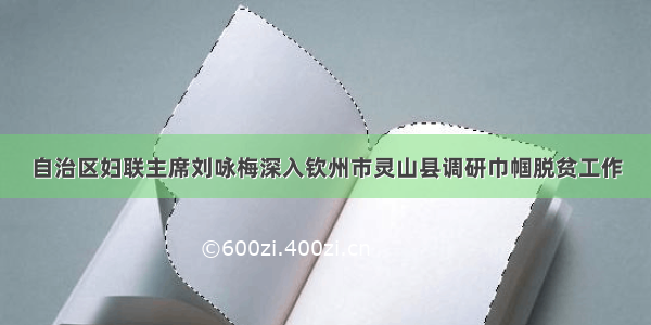 自治区妇联主席刘咏梅深入钦州市灵山县调研巾帼脱贫工作