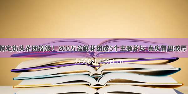 保定街头花团锦簇！200万盆鲜花组成5个主题花坛 喜庆氛围浓厚！