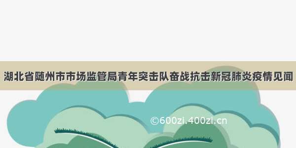 湖北省随州市市场监管局青年突击队奋战抗击新冠肺炎疫情见闻