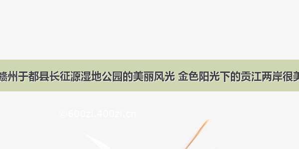 赣州于都县长征源湿地公园的美丽风光 金色阳光下的贡江两岸很美