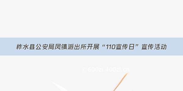 柞水县公安局凤镇派出所开展“110宣传日”宣传活动