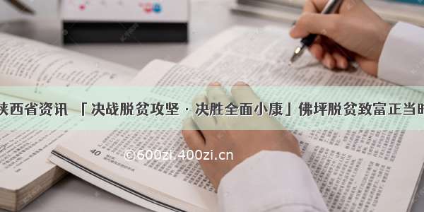 陕西省资讯｜「决战脱贫攻坚·决胜全面小康」佛坪脱贫致富正当时