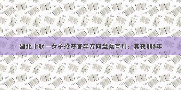 湖北十堰一女子抢夺客车方向盘案宣判：其获刑3年