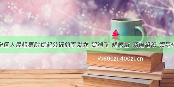 南宁市邕宁区人民检察院提起公诉的李发龙 贺润飞 姚家富 杨艳组织 领导传销活动案