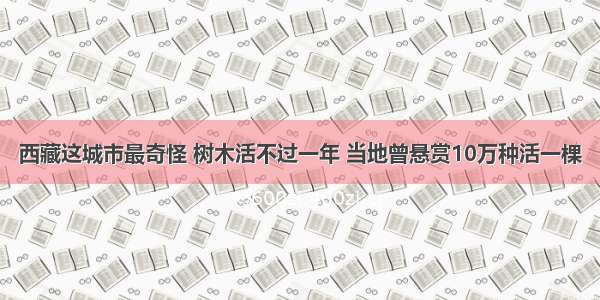 西藏这城市最奇怪 树木活不过一年 当地曾悬赏10万种活一棵