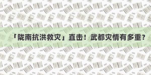 「陇南抗洪救灾」直击！武都灾情有多重？