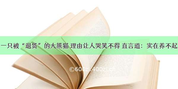 一只被“退货”的大熊猫 理由让人哭笑不得 直言道：实在养不起