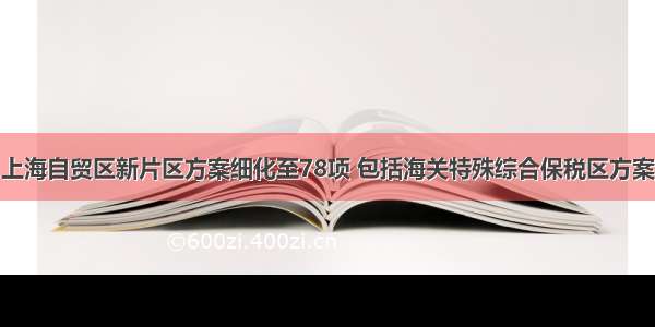 上海自贸区新片区方案细化至78项 包括海关特殊综合保税区方案