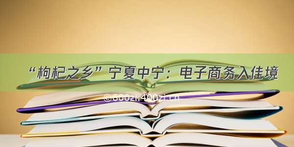 “枸杞之乡”宁夏中宁：电子商务入佳境