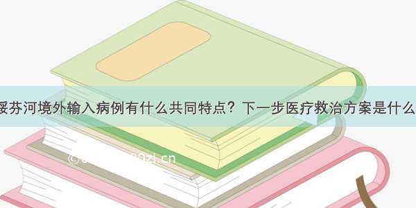 绥芬河境外输入病例有什么共同特点？下一步医疗救治方案是什么？