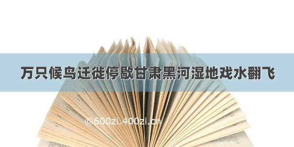 万只候鸟迁徙停歇甘肃黑河湿地戏水翻飞