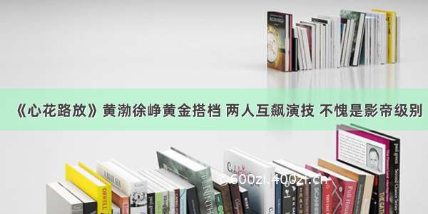 《心花路放》黄渤徐峥黄金搭档 两人互飙演技 不愧是影帝级别