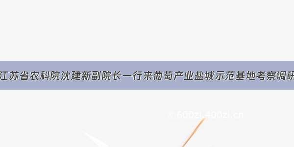 江苏省农科院沈建新副院长一行来葡萄产业盐城示范基地考察调研