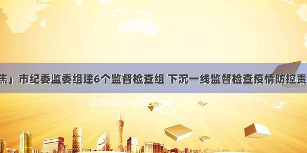 「聚焦」市纪委监委组建6个监督检查组 下沉一线监督检查疫情防控责任落实