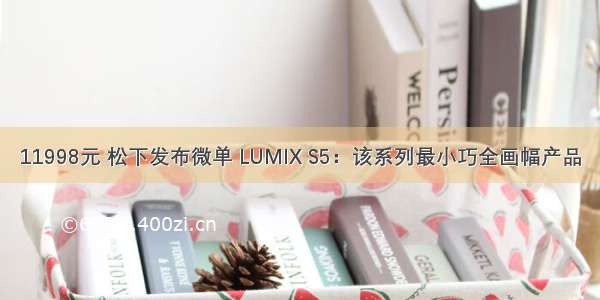 11998元 松下发布微单 LUMIX S5：该系列最小巧全画幅产品