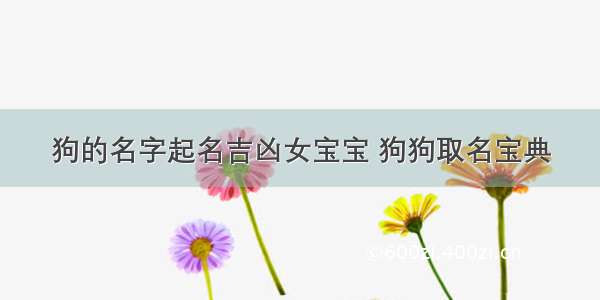 狗的名字起名吉凶女宝宝 狗狗取名宝典