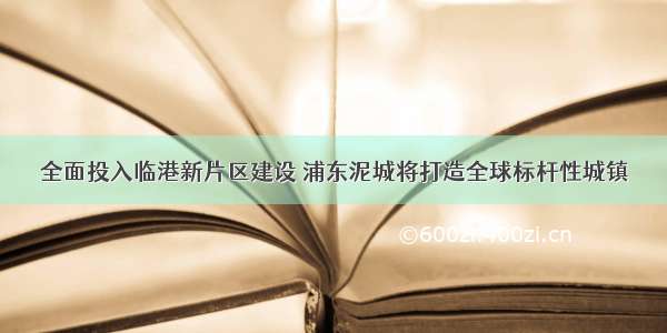 全面投入临港新片区建设 浦东泥城将打造全球标杆性城镇