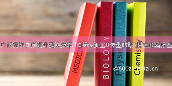 广西凭祥口岸提升通关效率 “口岸+加工+专业市场”模式逐渐成型