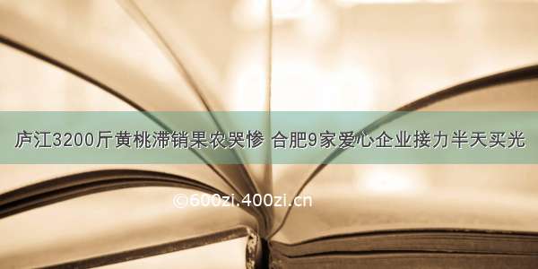 庐江3200斤黄桃滞销果农哭惨 合肥9家爱心企业接力半天买光