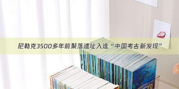 尼勒克3500多年前聚落遗址入选“中国考古新发现”