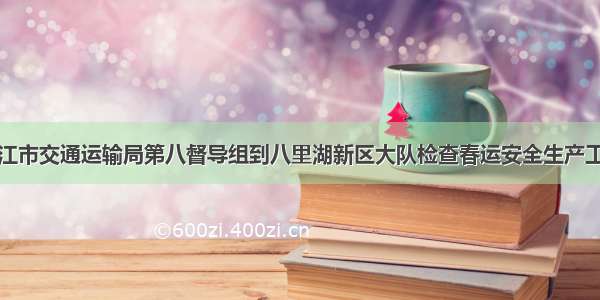 九江市交通运输局第八督导组到八里湖新区大队检查春运安全生产工作