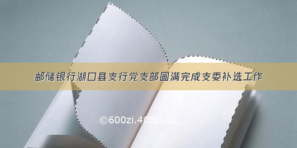 邮储银行湖口县支行党支部圆满完成支委补选工作