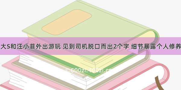 大S和汪小菲外出游玩 见到司机脱口而出2个字 细节暴露个人修养